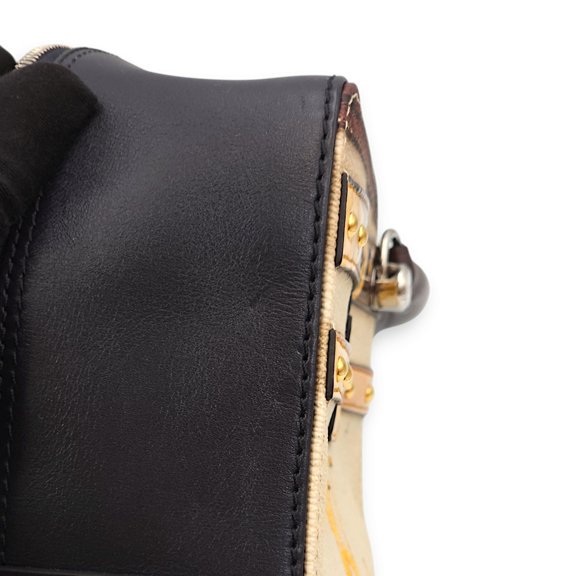 Time Trunk Square Multi-colour Top Handle Bag in Canvas/Calf, Palladium hardware - Image 11