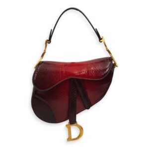 Saddle Mini Red Top Handle Bag in Python Leather, Gold hardware