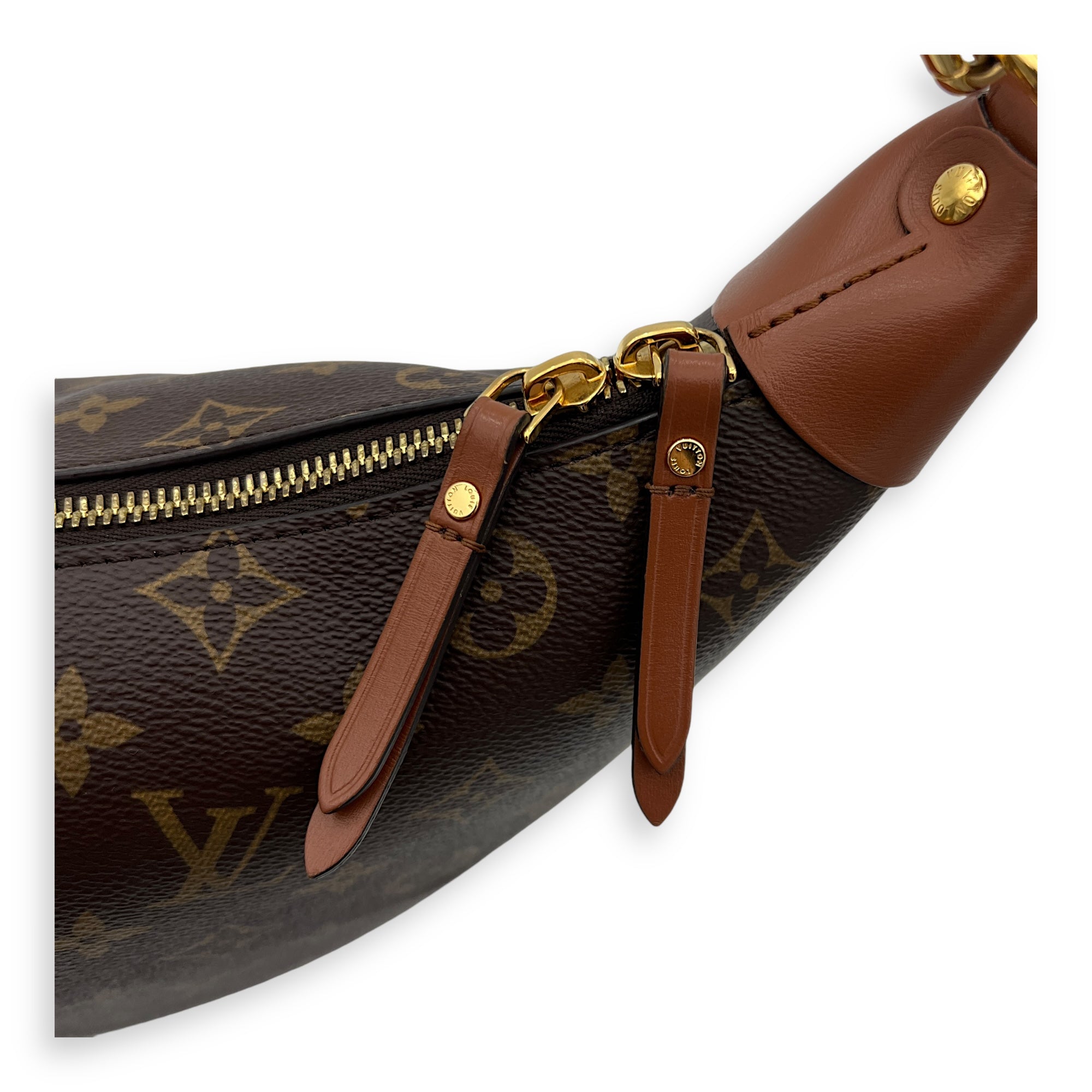 Loop Hobo Shoulder Bag Brown in Monogram Coated Canvas, Gold hardware - Image 7