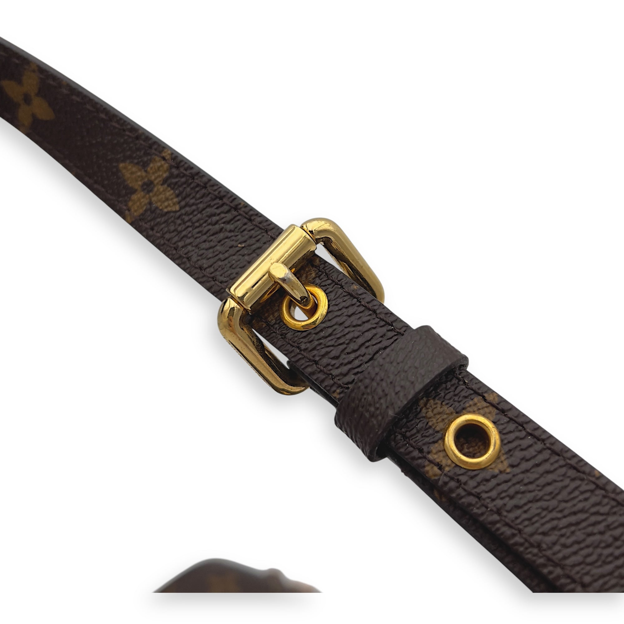 Metis Top Handle Bag Brown in Monogram Coated Canvas, Gold hardware - Image 8