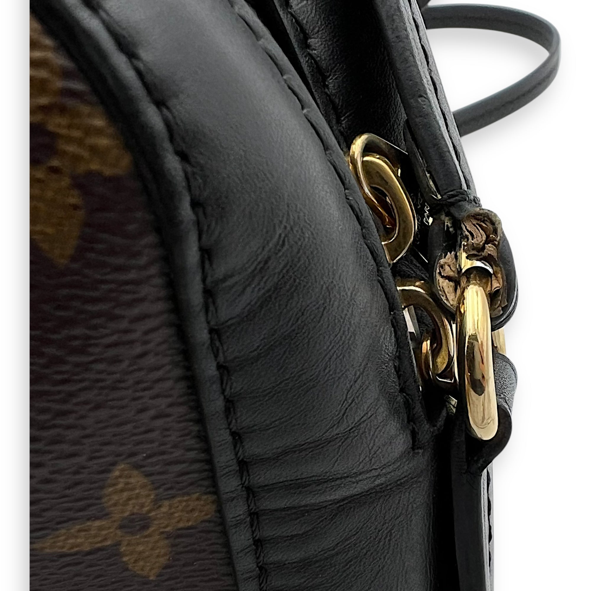 Saintonge Crossbody Bag Small Black in Monogram Coated Canvas, Gold hardware - Image 9