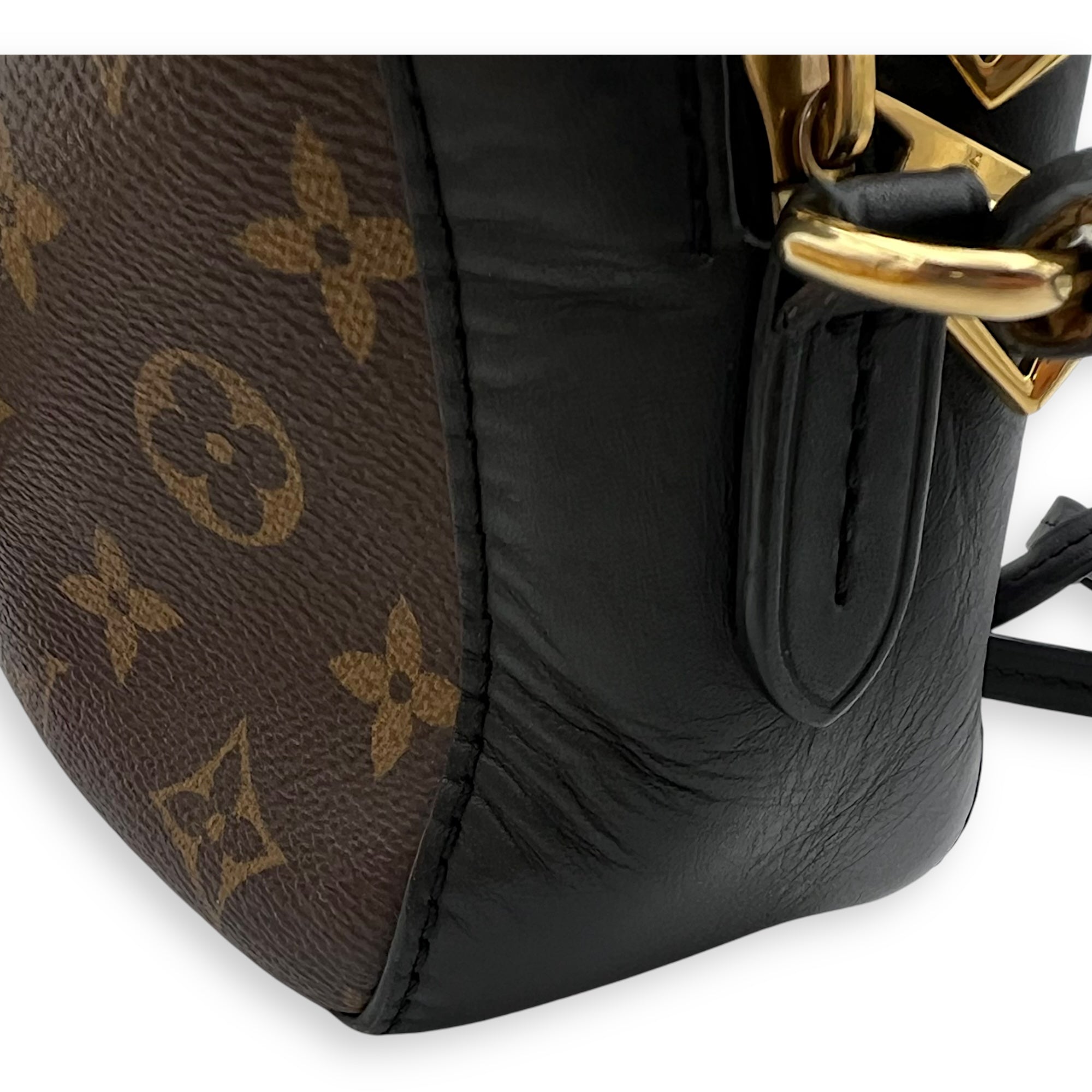 Saintonge Crossbody Bag Small Black in Monogram Coated Canvas, Gold hardware - Image 10