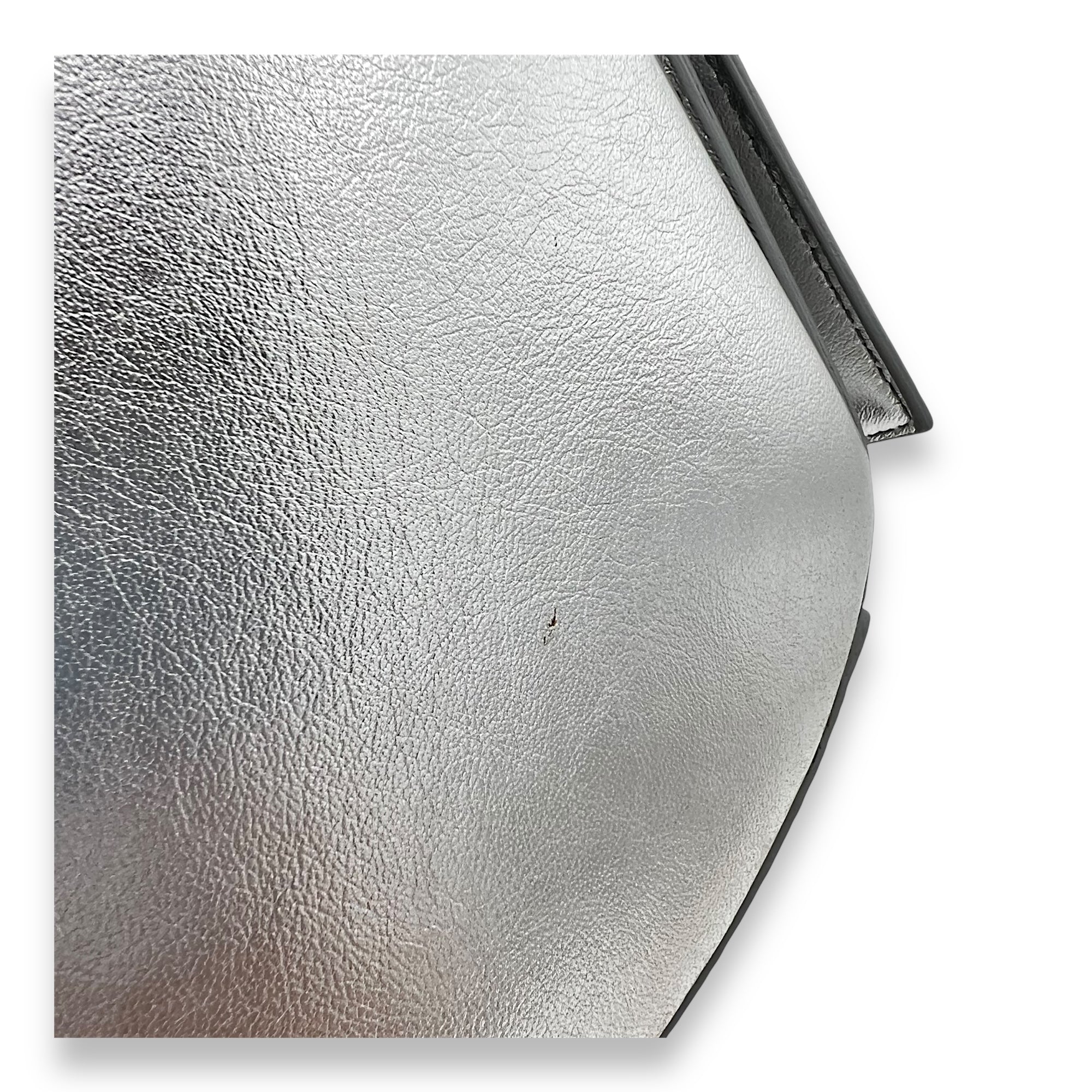 Pandora Box Medium Silver Crossbody Bag in Lizard Embossed Calfskin, Silver hardware - Image 8