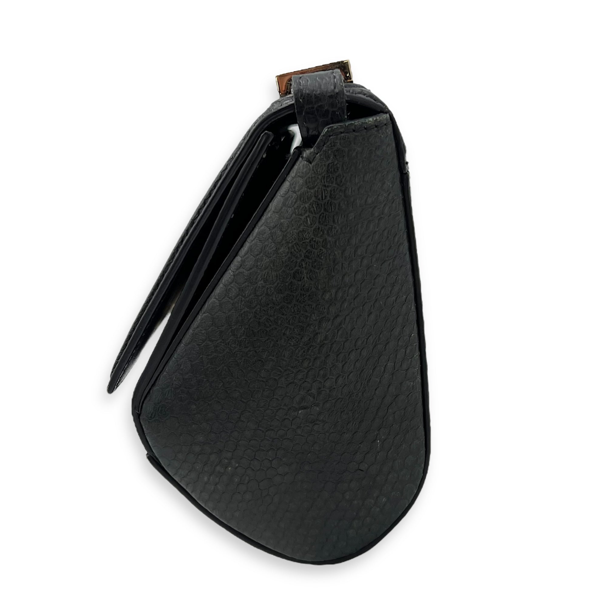 Pandora Box Crossbody Bag Multi-colour in Python Leather, Silver hardware - Image 4