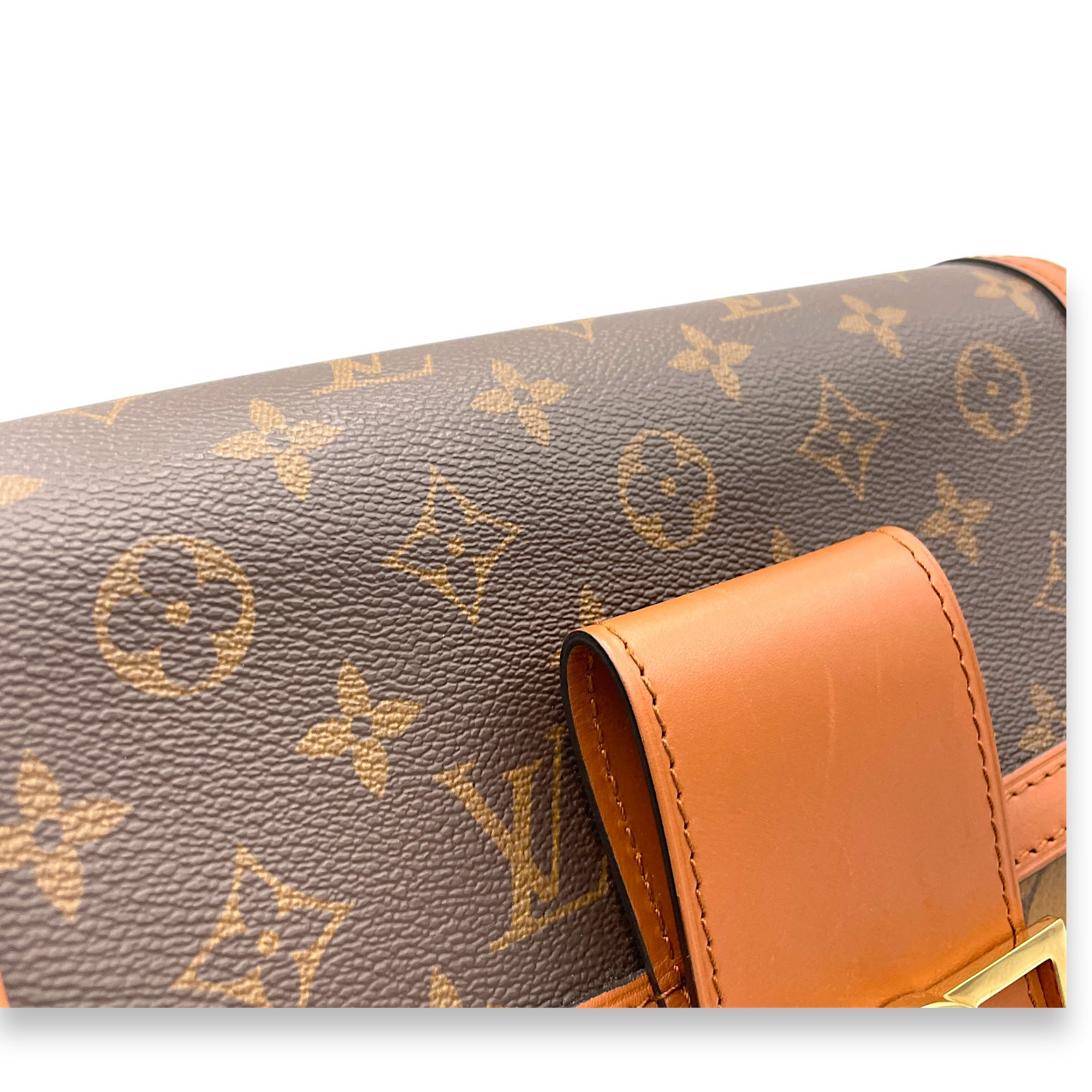 Reverse Dauphine MM Shoulder bag in Coated canvas, Gold Hardware - Image 6